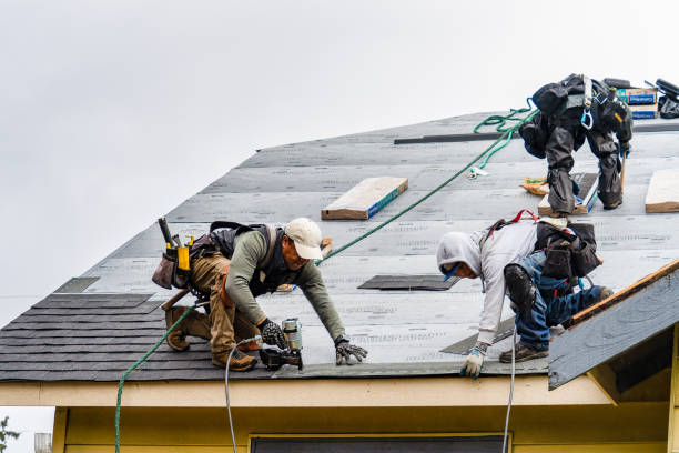 Professional Gutter Installation technician working in Dayton, MN